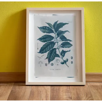 Botanická fotografie na zeď  - Káva - 4