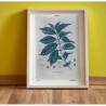 Botanická fotografie na zeď  - Káva - 4