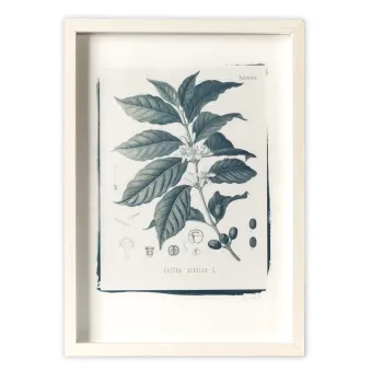 Botanická fotografie na zeď  - Káva - 3