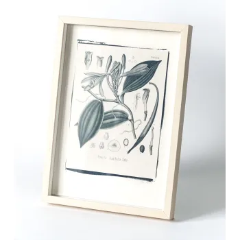 Botanická fotografie na zeď - Vanilka - 1