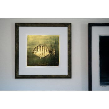 Goldfish I. - Resinotype over Gold leaves - Alternative Photography print by David Heger