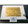 Goldfish III. - Resinotype over Gold leaves - Alternative Photography print by David Heger