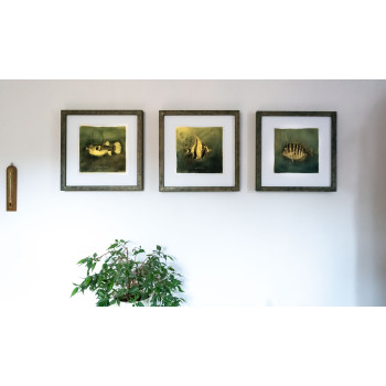 Goldfish II. - Resinotype over Gold leaves - Alternative Photography print by David Heger