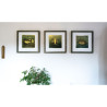 Goldfish II. - Resinotype over Gold leaves - Alternative Photography print by David Heger