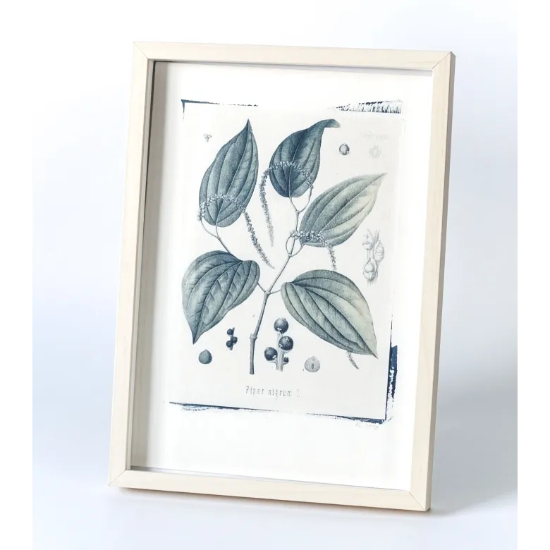 Botanická fotografie na zeď - Pepř - 1 Botanická fotografie na zeď - Pepř - 1