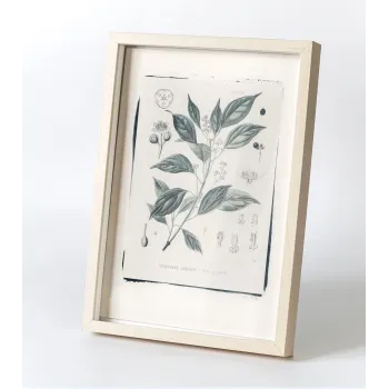 Botanická fotografie na zeď - Skořice - 1