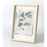 Botanická fotografie na zeď - Skořice - 1