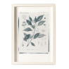 Hand Crafted Photograph - Cinnamon - 2
