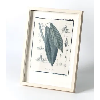 Botanická fotografie na zeď - Kakao - 1