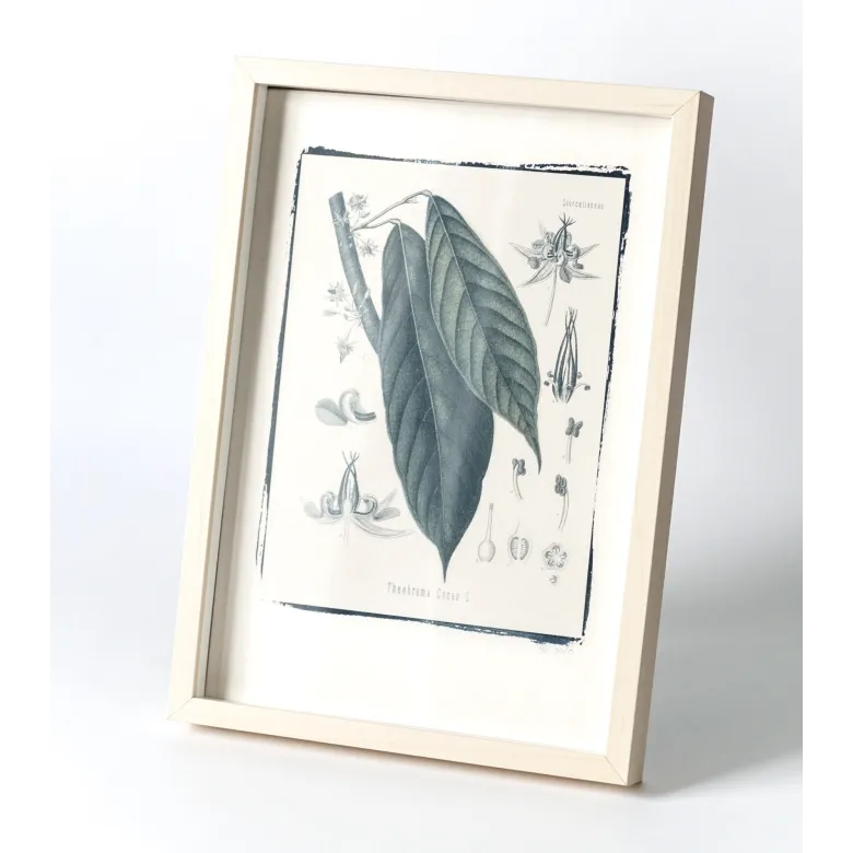 Botanická fotografie na zeď - Kakao - 1 Botanická fotografie na zeď - Kakao - 1