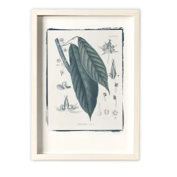 Hand Crafted Photograph - Cocoa - 4