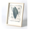 Botanic photography set - Cyanotype process - 2