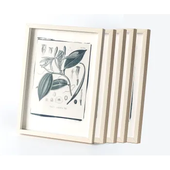 Botanic photography set - Cyanotype process - 1