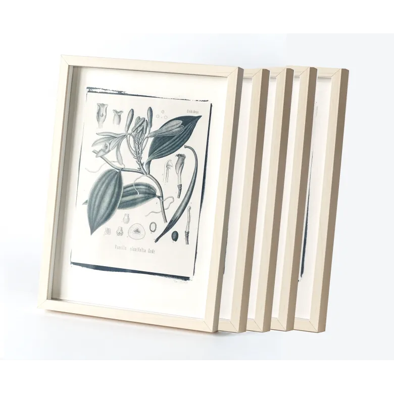Botanic photography set - Cyanotype process - 1