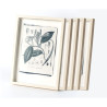 Botanic photography set - Cyanotype process - 1