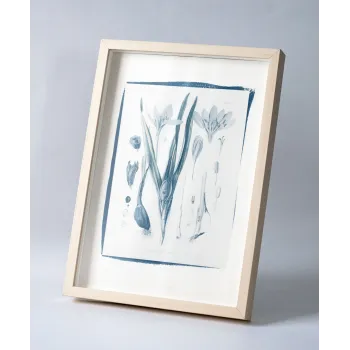 Botanická fotografie na zeď - Ocún podzimní - 1