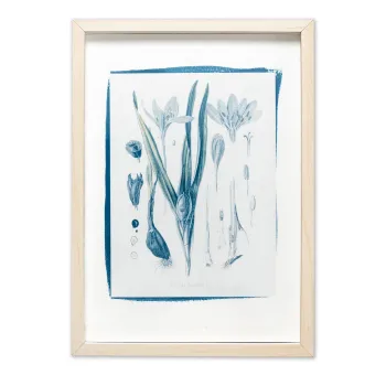 Botanická fotografie na zeď - Ocún podzimní - 2