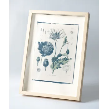 Botanická fotografie na zeď - Mák - 1