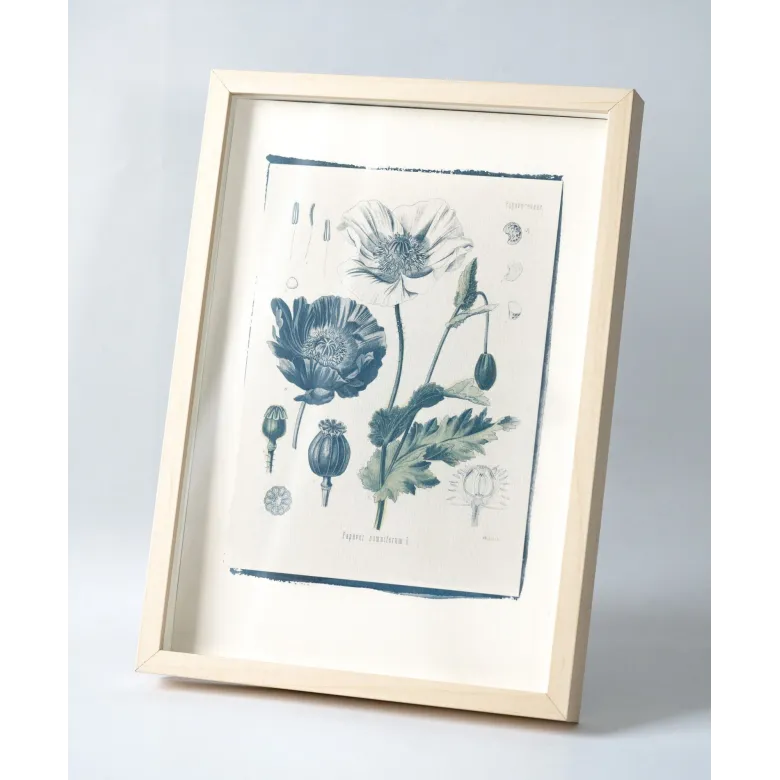 Botanická fotografie na zeď - Mák - 1 Botanická fotografie na zeď - Mák - 1