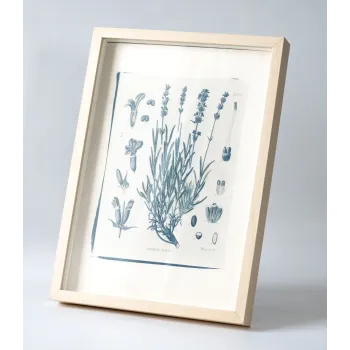 Botanická fotografie na zeď - Levandule - 1