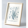 Botanická fotografie na zeď - Levandule - 1