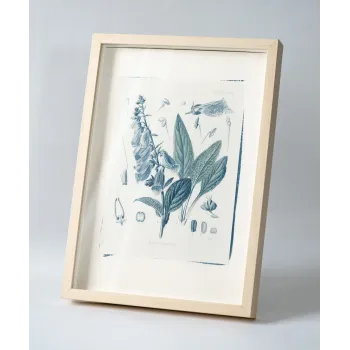 Botanická fotografie na zeď - Náprstník - 1