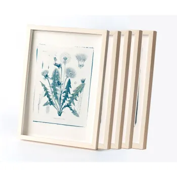 Botanic photography set - Herbs - 1