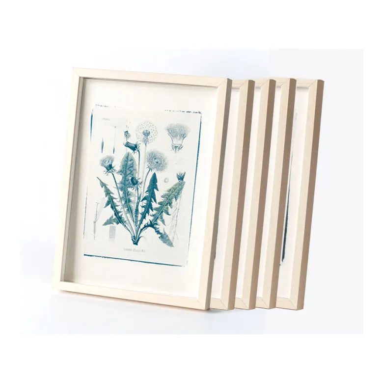 Botanic photography set - Herbs - 1