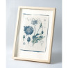 Botanic photography set - Herbs - 3