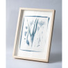Botanic photography set - Herbs - 5