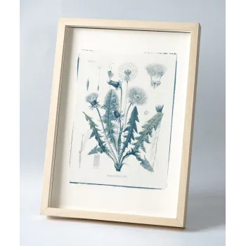 Botanic photography set - Herbs - 6