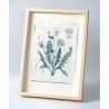 Botanic photography set - Herbs - 6