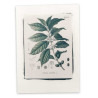 Hand Crafted Photograph - Coffee - 5