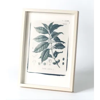 Botanická fotografie na zeď  - Káva - 1