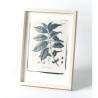Botanická fotografie na zeď  - Káva - 1