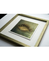 Goldfish I. - Antracoipia (Resinotype) 18/30