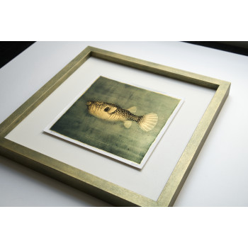 Goldfish III. - Resinotype over Gold leaves - Alternative Photography print by David Heger