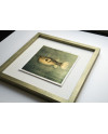 Goldfish III. - Resinotype over Gold leaves - Alternative Photography print by David Heger