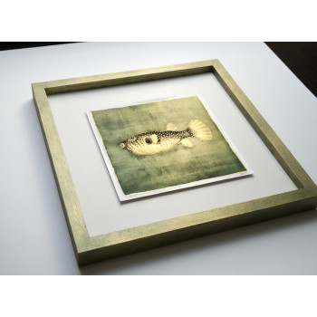 Goldfish II. - Antracoipia (Resinotype) 9/30