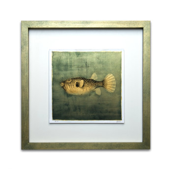 Goldfish II. - Resinotype over Gold leaf - Alternative Photography print by David Heger