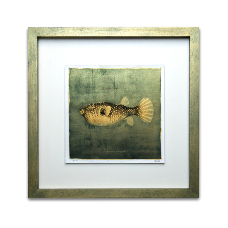 Goldfish II. - Resinotype over Gold leaf - Alternative Photography print by David Heger