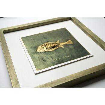 Goldfish III. - Antracoipia (Resinotype) 8/30