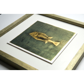 Goldfish III. - Antracoipia (Resinotype) 8/30