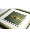 Goldfish III. - Antracoipia (Resinotype) 8/30