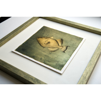 Goldfish III. - Antracoipia (Resinotype) 8/30