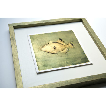Goldfish III. - Antracoipia (Resinotype) 8/30