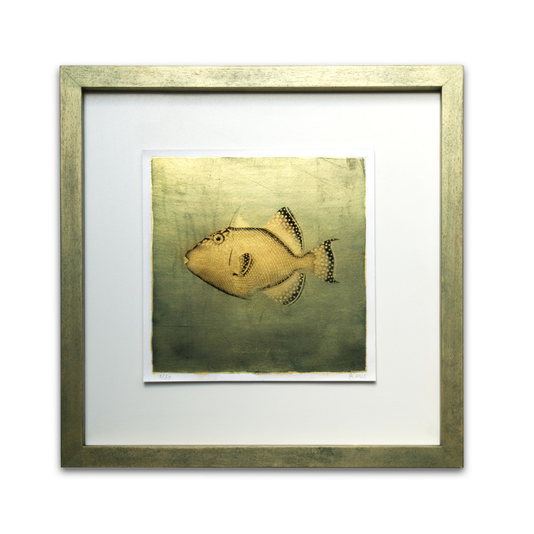 Goldfish - Resinotype over Gold leaf Goldfish - Resinotype over Gold leaf
