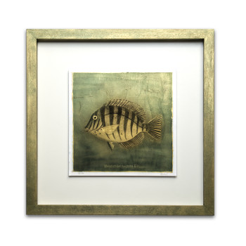 Golden Fish Resinotype over Gold