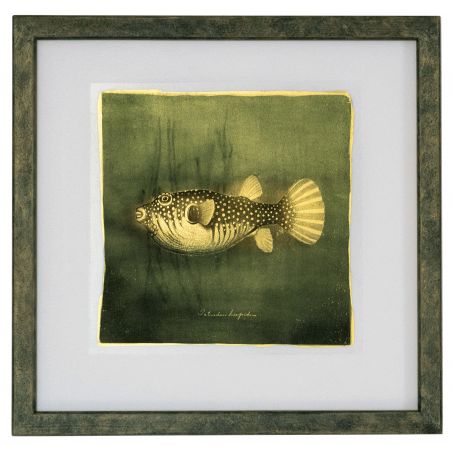 Goldfish III. - Resinotype over Gold leaves - Alternative Photography print by David Heger