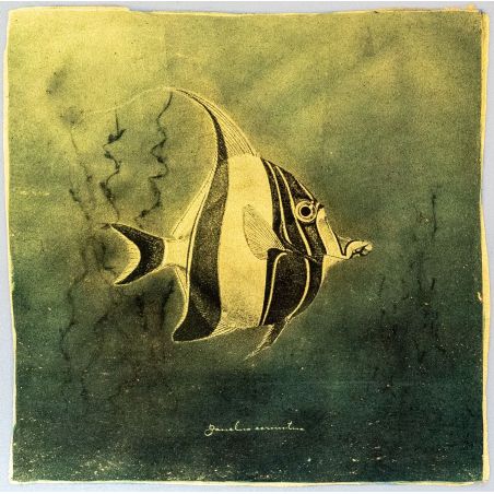Goldfish II. - Resinotype over Gold leaves - Alternative Photography print by David Heger